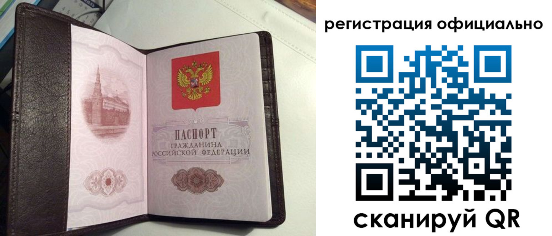 прописка ребенка в Шебекино