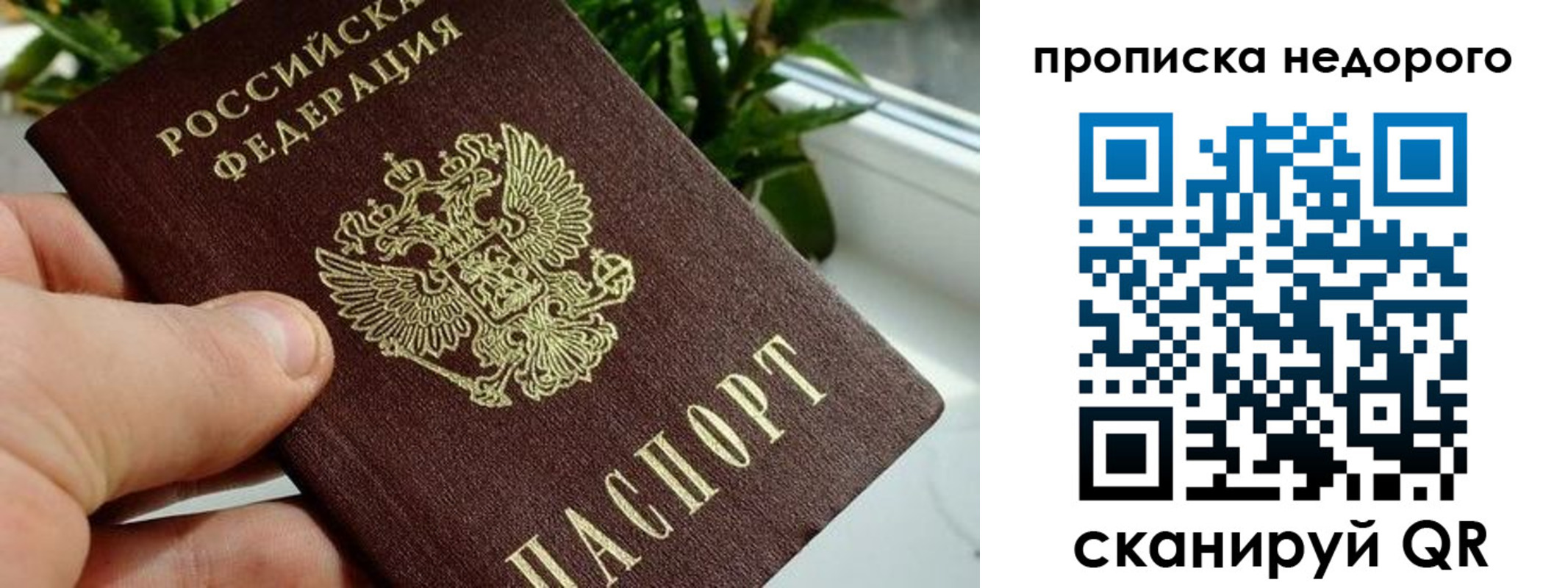 прописка для кредита в Шебекино